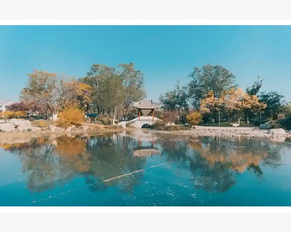 脾胃虚弱调理指南：简单有效的补养方法